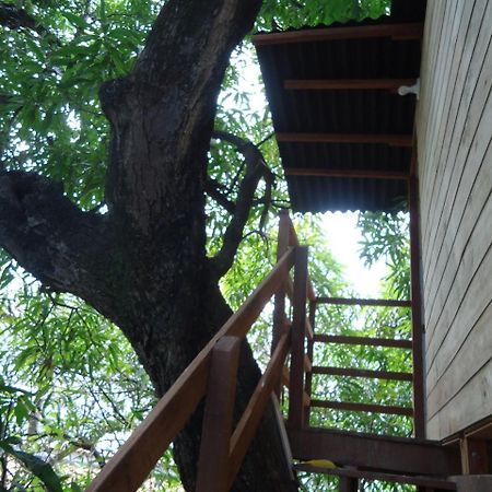 Casa Na Arvore Salvador Kültér fotó
