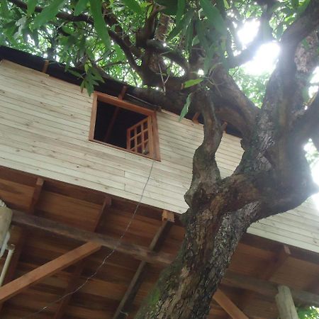 Casa Na Arvore Salvador Kültér fotó