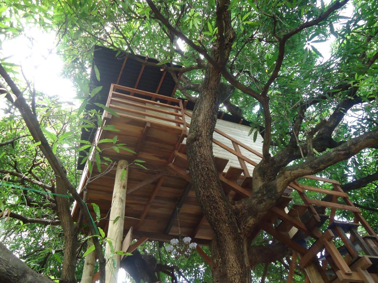 Casa Na Arvore Salvador Kültér fotó
