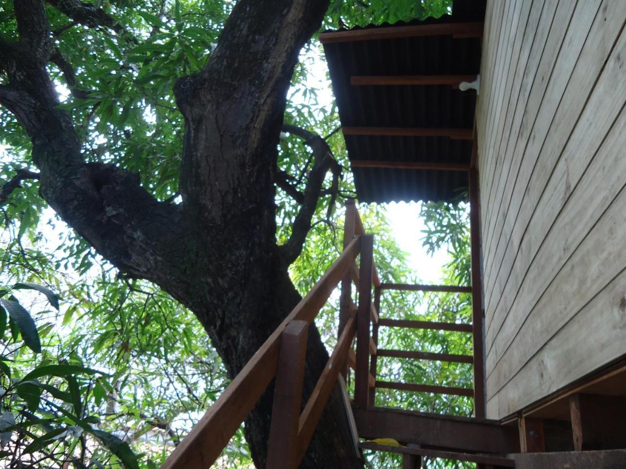 Casa Na Arvore Salvador Kültér fotó