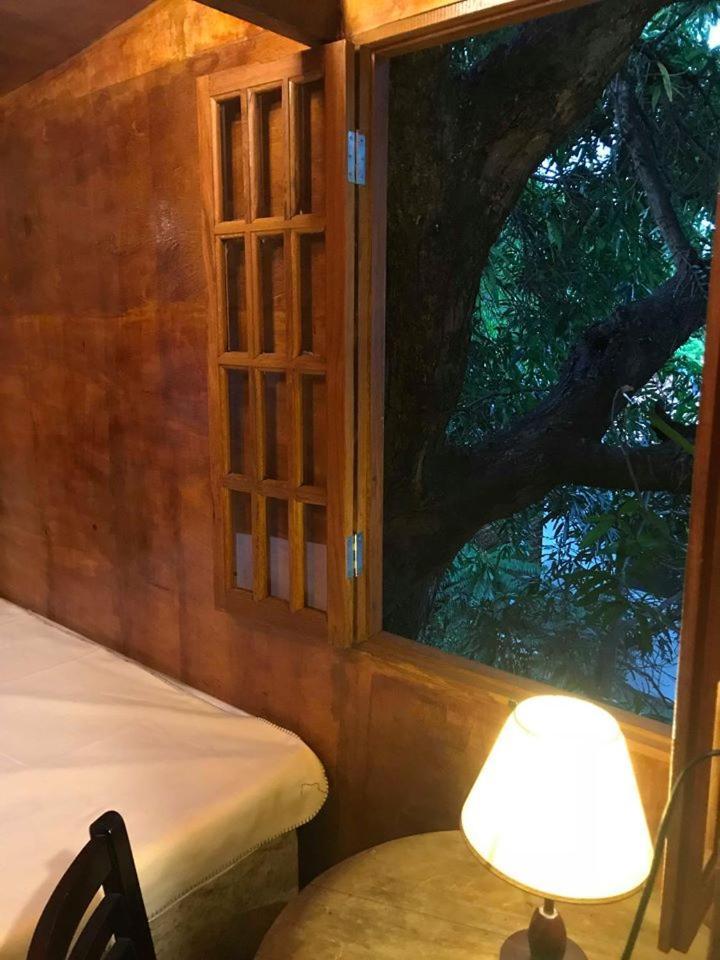 Casa Na Arvore Salvador Kültér fotó